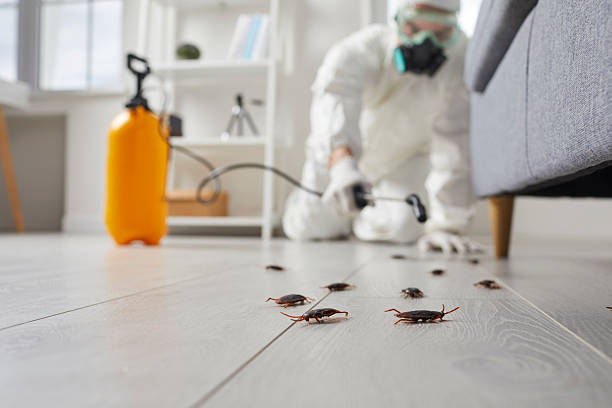 Commercial Kitchen Cockroach Control in Lewiston